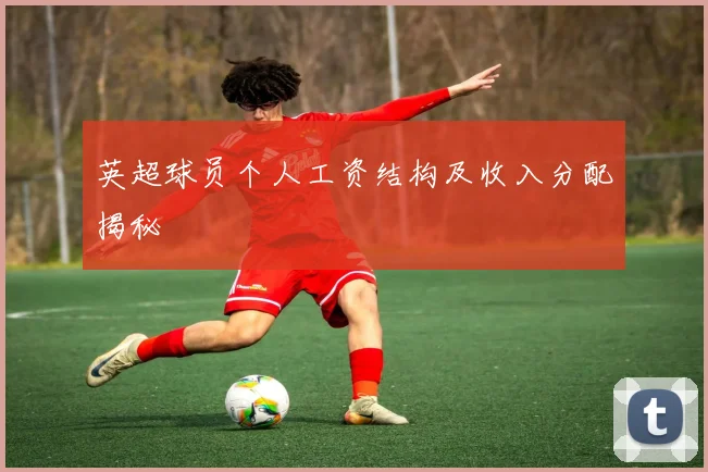 英超球员个人工资结构及收入分配揭秘